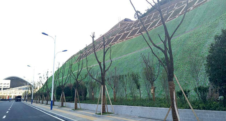 邊坡綠化工程案例